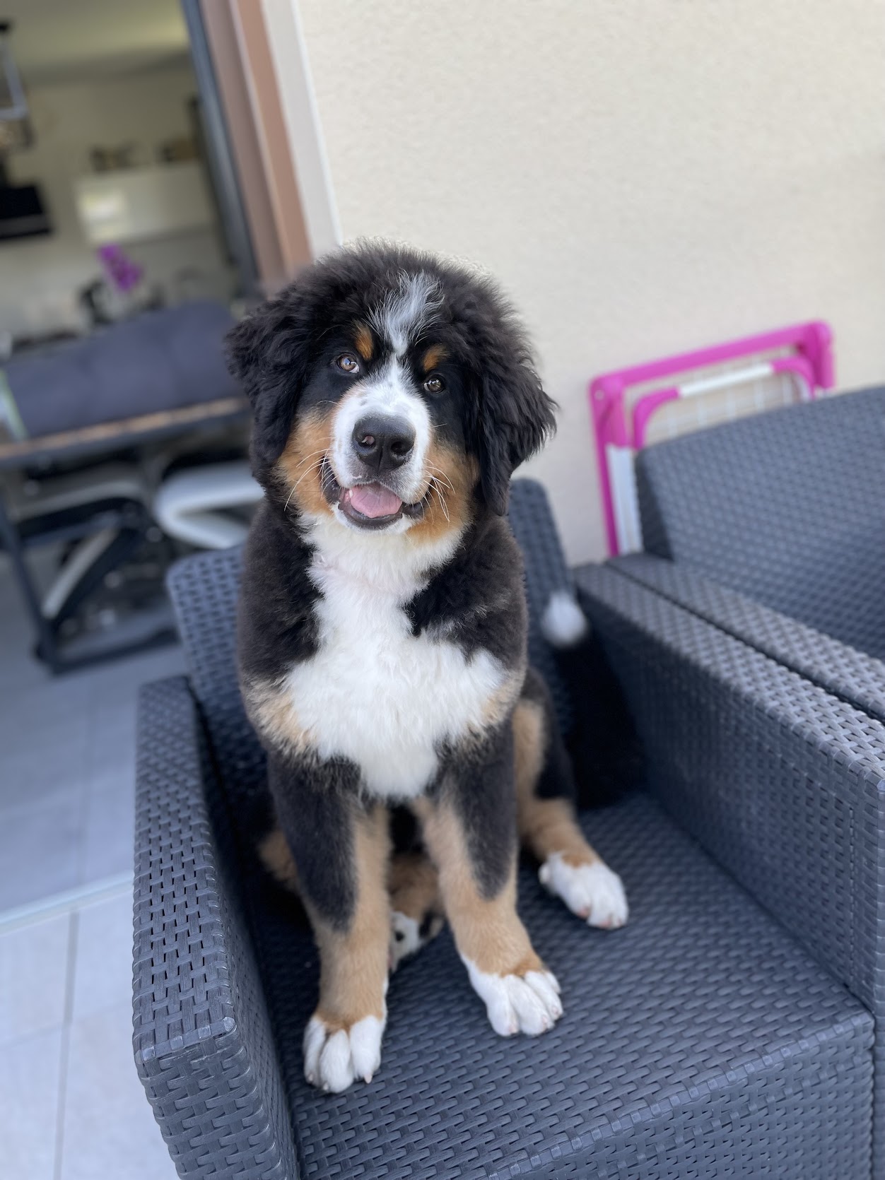 Avis Oliviaa Antoine