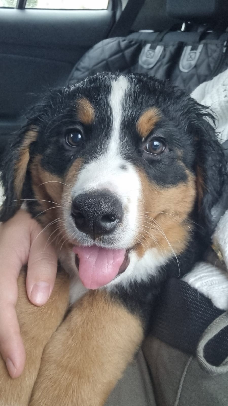 Avis Rémy Vaucheray